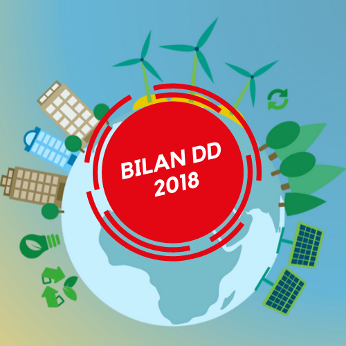 bilan dd 2018