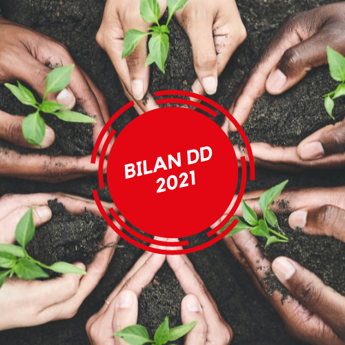 Bilan DD 2021