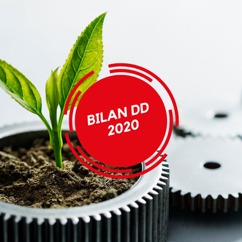 Bilan DD 2020