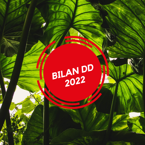 Bilan DD 2022