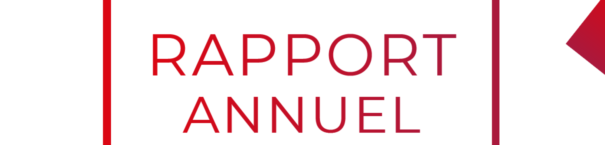 rapport annuel 2025